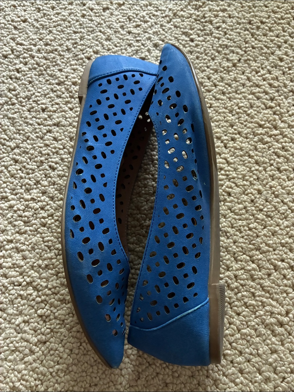 Restricted Blue Women's Pointed Toe Perforated Ballet Flats